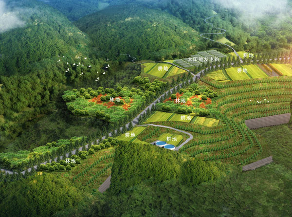 欒川白廟溝鉬礦小南溝排土場地質環境治理與土地復墾工程